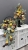 IMG_9954.JPEG