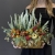 IMG_1161.JPEG