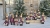 IMG_6446.JPEG