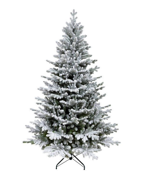 ASPEN PE SNOW.JPG