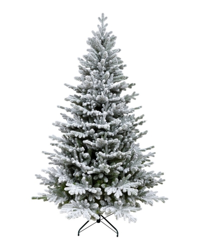 ASPEN PE SNOW.JPG