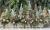 IMG_8870.JPEG