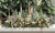 IMG_9092.JPEG