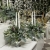 IMG_9332.JPEG