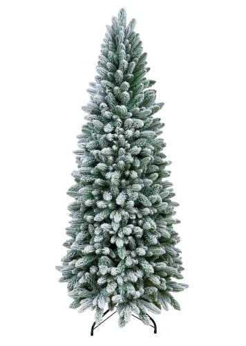 SLIM PE SNOW.JPG