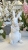 IMG_2493.JPEG