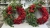 IMG_4498.JPEG