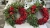 IMG_4472.JPEG