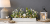 d8285812-9782-452f-a3fc-6612e9f66ea0.png
