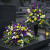 0adbfe6e-40c8-4fa1-b977-49962248129e.png
