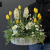 d5c0700c-d7cc-4963-95a7-15b9afefde57.png