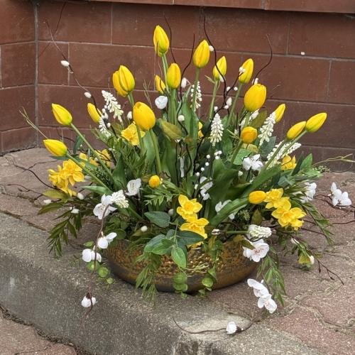 IMG_2667.JPEG