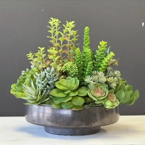 Sukulenty kaktusy donica okrągła misa loft Grace lux