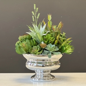 Sukulenty kaktusy donica silver kompozycja Dariana wz.1