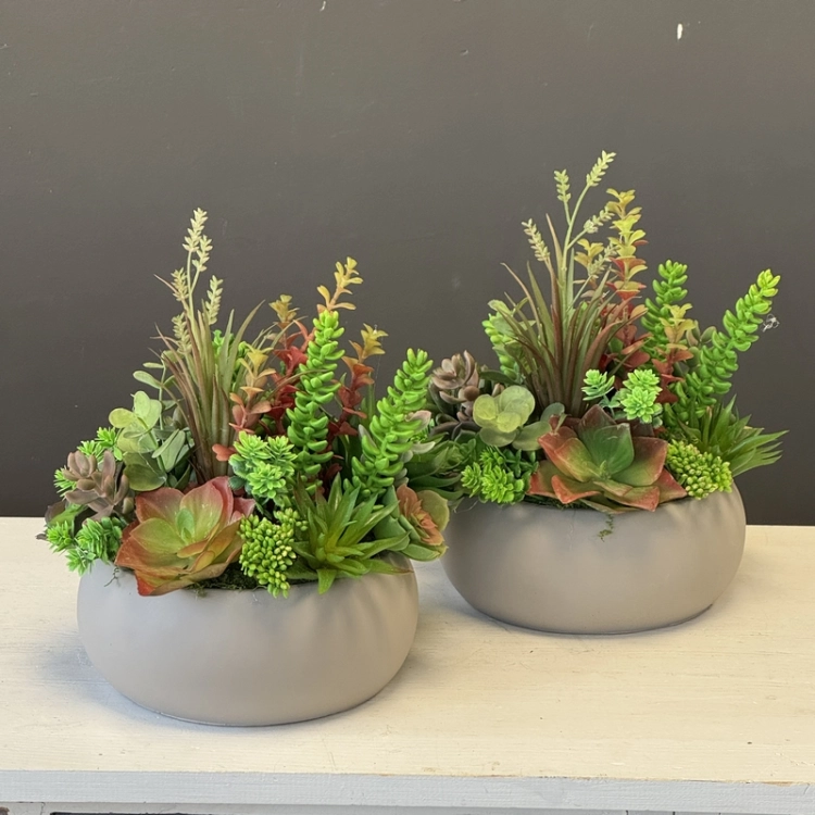 IMG_4580.JPEG