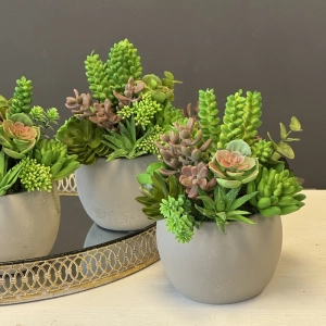 Sukulenty kaktusy donica beton kompozycja Pilea S wz.3