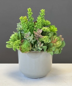 Sukulenty kaktusy szara donica kompozycja NIdes