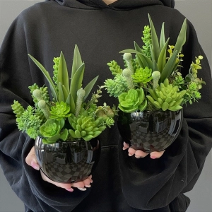 Sukulenty kaktusy czarna donica kompozycja Brimnes wz.1