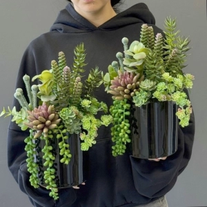 Sukulenty kaktusy czarna donica kompozycja Milet