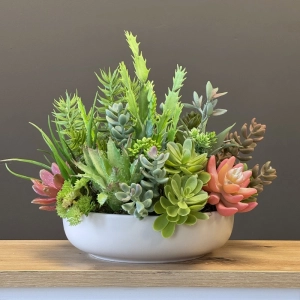 Sukulenty kaktusy donica okrągła misa Luna beż