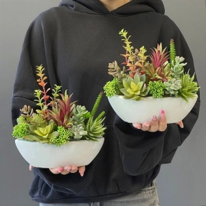 Sukulenty kaktusy donica łódka Canoe mini wz.6