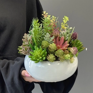 Sukulenty kaktusy donica okrągła misa Bianca M wz.2