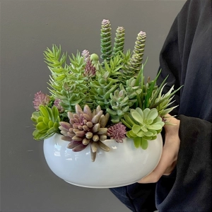 Sukulenty kaktusy donica okrągła misa Bianca M wz.3