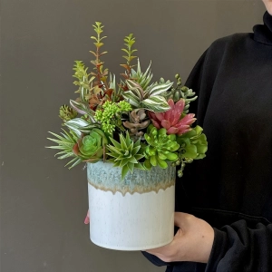 Sukulenty kaktusy donica ceramika Gawor 