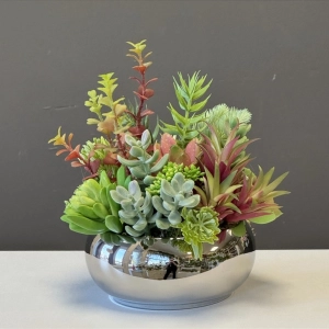 Sukulenty kaktusy donica okrągła misa silver S