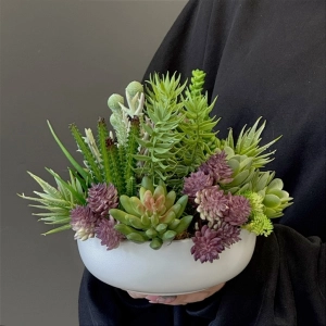 Sukulenty kaktusy donica okrągła misa Luna S