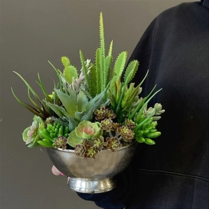 Sukulenty kaktusy donica okrągła metal silver S