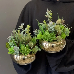 Sukulenty kaktusy donica okrągła misa gold S