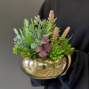 Sukulenty kaktusy donica okrągła misa gold M