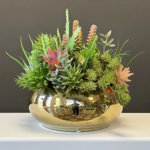 Sukulenty kaktusy donica okrągła misa gold L