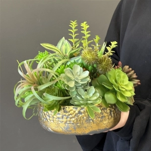 Sukulenty kaktusy donica okrągła misa vintage gold