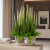 7307f151-98e1-4e3a-90bf-b3e54f8bfe52.png
