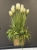 IMG_2635.JPEG