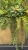 IMG_2687.JPEG