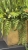 IMG_2686.JPEG