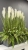 IMG_2752.JPEG