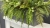 IMG_2756.JPEG