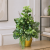 ChatGPT Image 15 cze 2026, 01_00_58.png