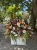 IMG_4368.JPEG
