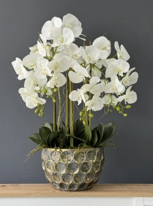 Kompozycja w donicy storczyk silikon Vanda gold XL