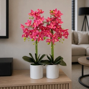 Storczyk sztuczny kwiat orchidea w donicy Coral