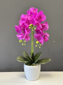 Storczyk sztuczny kwiat orchidea w donicy amarant