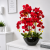 ChatGPT Image 29 cze 2026, 13_01_04.png