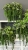 IMG_3937.JPEG