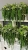 IMG_3886.JPEG