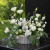 ChatGPT Image 10 lip 2026, 22_19_25.png